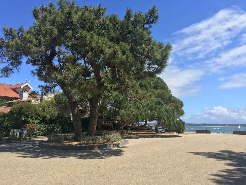 Evaluation maison au Cap Ferret