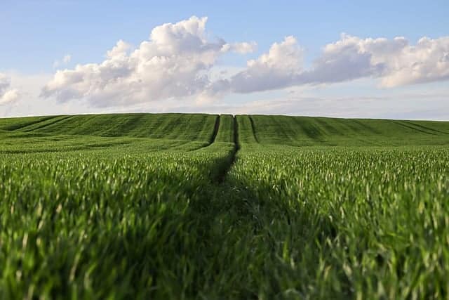 évaluation de parcelles agricoles en gironde
